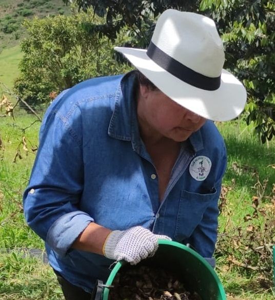 Desarollo comunitario